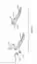 Fig. 10 - ELECTROSURGICAL SEALER AND DIVIDER