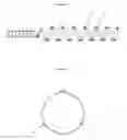 Fig. 06 - Mapping sympathetic nerve distribution for renal ablation and catheters for same