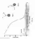 Fig. 03 - ENDODONTIC TOOL AND METHOD