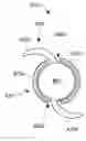 Fig. 01 - Ophthalmic devices, system and methods that improve peripheral vision