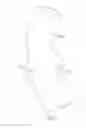 Fig. 06 - Personalized aortic valve prosthesis