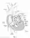 Fig. 02 - Methods for quickly implanting a prosthetic heart valve