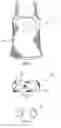 Fig. 03 - Garment having integrated prosthetic breasts