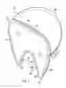 Fig. 02 - Heated Mask Assembly