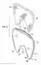 Fig. 03 - Heated Mask Assembly