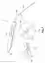 Fig. 07 - Myringotomy tool with multiple tool heads