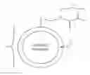 Fig. 01 - Bondable microcapsules and surface functionalized fillers