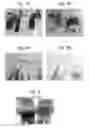 Fig. 02 - Reduction treatment agent, reduction cosmetic, reduction food and method for producing reduction treatment agent