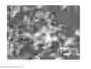 Fig. 01 - Core-shell particles and method of manufacturing the same