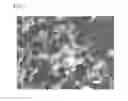 Fig. 02 - Core-shell particles and method of manufacturing the same