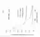 Fig. 05 - NANOPARTICLES FOR CONTROLLED LYSIS OF BLOOD CLOTS