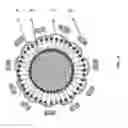 Fig. 45 - Compositions and methods for bile acid particles