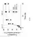 Fig. 49 - Compositions and methods for bile acid particles