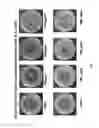 Fig. 02 - USE OF LIGNIN-DERIVED ALDEHYDES AS ANTIFUNGAL AGENTS