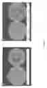 Fig. 03 - Methods and compositions for increasing the potency of antifungal agents