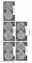 Fig. 12 - Methods and compositions for increasing the potency of antifungal agents
