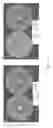 Fig. 13 - Methods and compositions for increasing the potency of antifungal agents