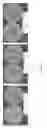 Fig. 14 - Methods and compositions for increasing the potency of antifungal agents