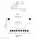 Fig. 02 - METHODS FOR ADMINISTRATION AND METHODS FOR TREATING CARDIOVASCULAR DISEASES WITH RESINIFERATOXIN