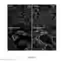 Fig. 03 - Selective agonists of beta-adrenergic type 3 receptors (BAR3) and use thereof