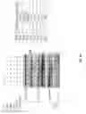 Fig. 03 - METHODS OF TREATING FRIEDREICH'S ATAXIA USING SRC INHIBITORS