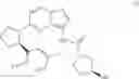 Fig. 22 - Liquid formulations of (S)-N-(5-((R)-2-(2,5-difluorophenyl)-pyrrolidin-1-yl)-pyrazolo[1,5-A]pyrimidin-3-yl)-3-hydroxypyrrolidine-1-carboxamide