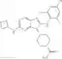 Fig. 239 - Substituted aminopurine compounds, compositions thereof, and methods of treatment therewith