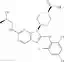 Fig. 261 - Substituted aminopurine compounds, compositions thereof, and methods of treatment therewith