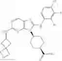 Fig. 303 - Substituted aminopurine compounds, compositions thereof, and methods of treatment therewith