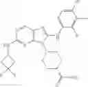 Fig. 341 - Substituted aminopurine compounds, compositions thereof, and methods of treatment therewith