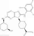 Fig. 463 - Substituted aminopurine compounds, compositions thereof, and methods of treatment therewith