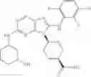 Fig. 486 - Substituted aminopurine compounds, compositions thereof, and methods of treatment therewith