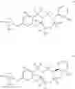 Fig. 06 - ARYL SULTAM DERIVATIVES AS RORc MODULATORS