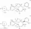 Fig. 08 - ARYL SULTAM DERIVATIVES AS RORc MODULATORS