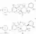 Fig. 09 - ARYL SULTAM DERIVATIVES AS RORc MODULATORS