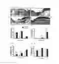 Fig. 03 - Methods and compositions for wound healing