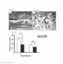 Fig. 04 - Methods and compositions for wound healing