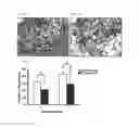 Fig. 05 - Methods and compositions for wound healing