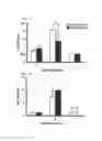 Fig. 06 - Methods and compositions for wound healing