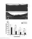Fig. 10 - Methods and compositions for wound healing