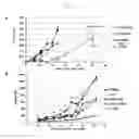 Fig. 08 - ANTITUMOR DRUG COMPRISING BETA-CYCLODEXTRIN