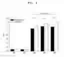 Fig. 02 - Method for proliferating neural progenitor cells and composition for treating neurological diseases containing proliferated neural progenitor cells