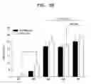 Fig. 06 - Method for proliferating neural progenitor cells and composition for treating neurological diseases containing proliferated neural progenitor cells