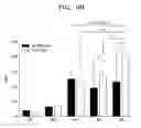 Fig. 08 - Method for proliferating neural progenitor cells and composition for treating neurological diseases containing proliferated neural progenitor cells