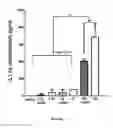 Fig. 02 - Method and composition for producing enhanced anti-inflammatory/ anti-catabolic and regenerative agents from autologous physiological fluid