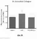 Fig. 13 - COMPOSITIONS AND METHODS FOR TREATING LUNG REMODELING DISEASES