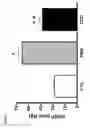 Fig. 08 - CARDIOSPHERE-DERIVED CELLS (CDCS) AS THERAPEUTIC AGENTS FOR PULMONARY HYPERTENSION