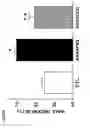Fig. 11 - CARDIOSPHERE-DERIVED CELLS (CDCS) AS THERAPEUTIC AGENTS FOR PULMONARY HYPERTENSION