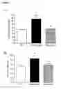 Fig. 13 - CARDIOSPHERE-DERIVED CELLS (CDCS) AS THERAPEUTIC AGENTS FOR PULMONARY HYPERTENSION