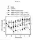 Fig. 06 - CELL POPULATIONS HAVING IMMUNOREGULATORY ACTIVITY, METHOD FOR ISOLATION AND USES